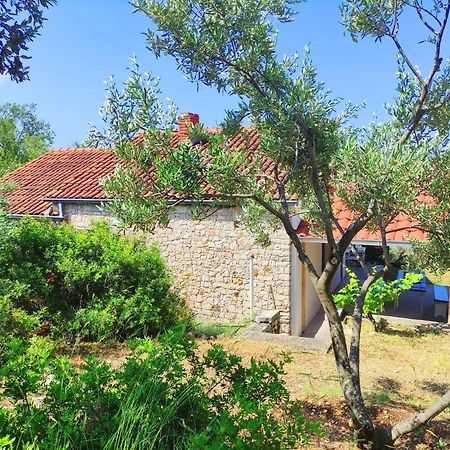 Vila Aldos House Ražanj Exteriér fotografie